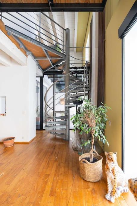 Le Loft Du Vieux-Port - St Victor Leilighet Marseille Eksteriør bilde