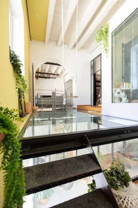 Le Loft Du Vieux-Port - St Victor Leilighet Marseille Eksteriør bilde